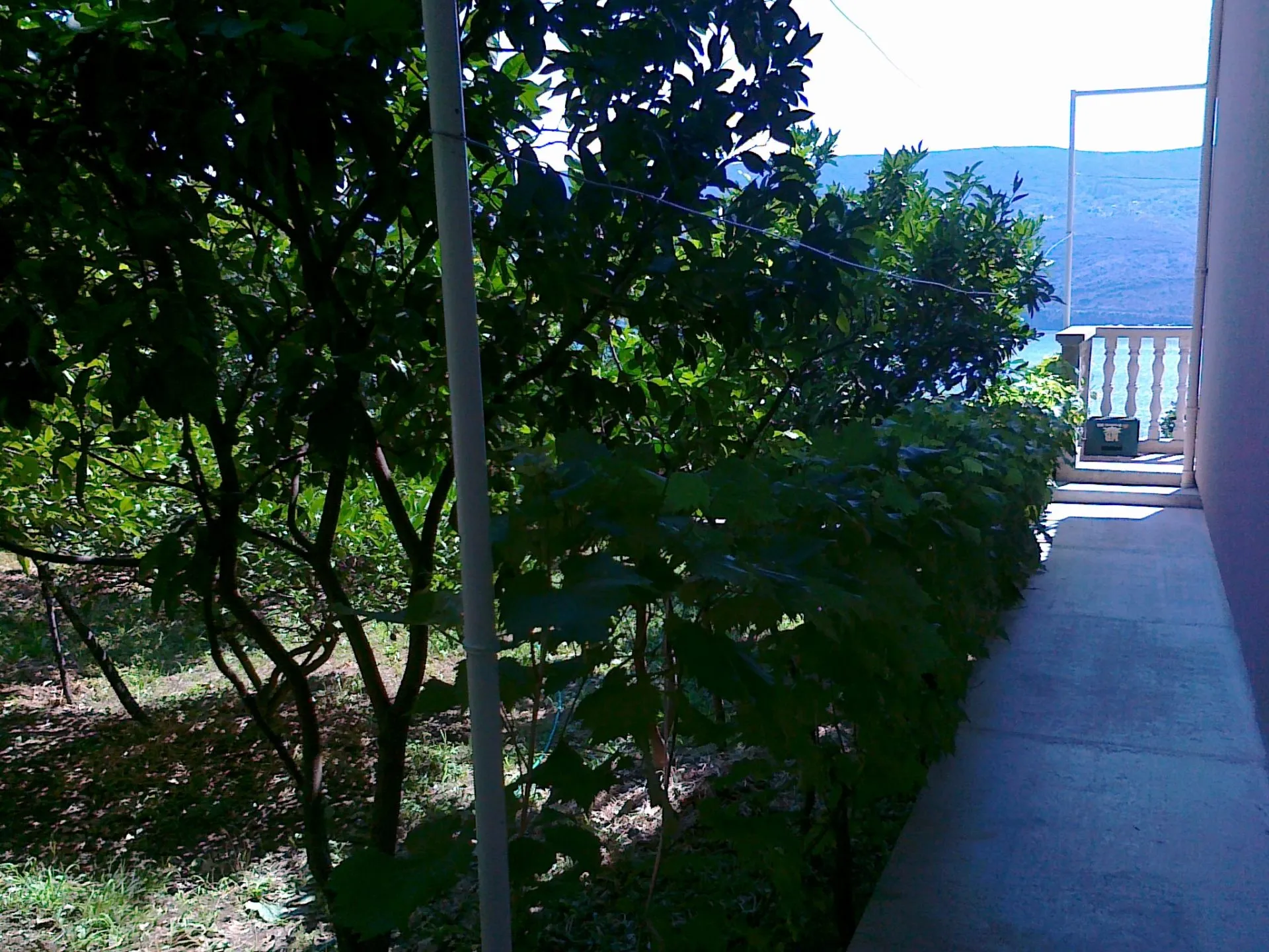 Exterior scene showing a concrete walkway next to a building wall, dense green trees and bushes, with water and hills in the background.