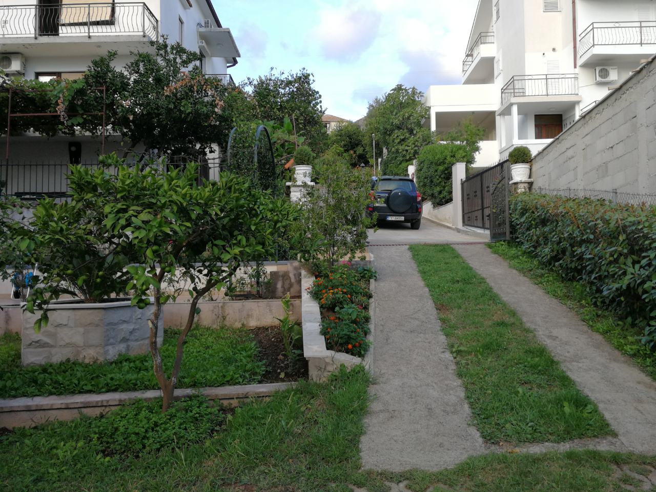 Privathaus in Tivat, Montenegro: Blick auf den gepflegten Hof, den grünen Garten mit Zitronenbaum und einen Parkplatz.