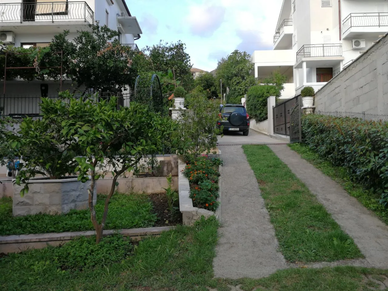 Privathaus in Tivat, Montenegro: Blick auf den gepflegten Hof, den grünen Garten mit Zitronenbaum und einen Parkplatz.