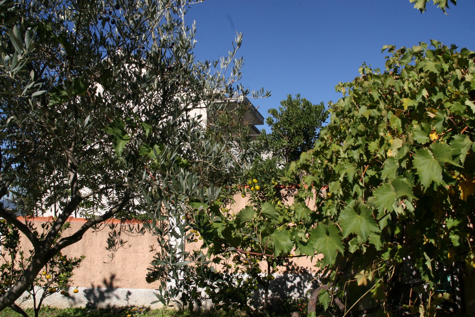 Kavaçi'de Villa №1309