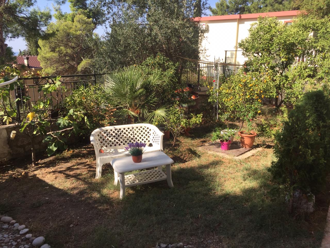 Gemütlicher grüner Garten mit Gartenmöbeln am Haus in Šušanj, Montenegro: Palmen, Zitrusbäume und Ruhebereich.
