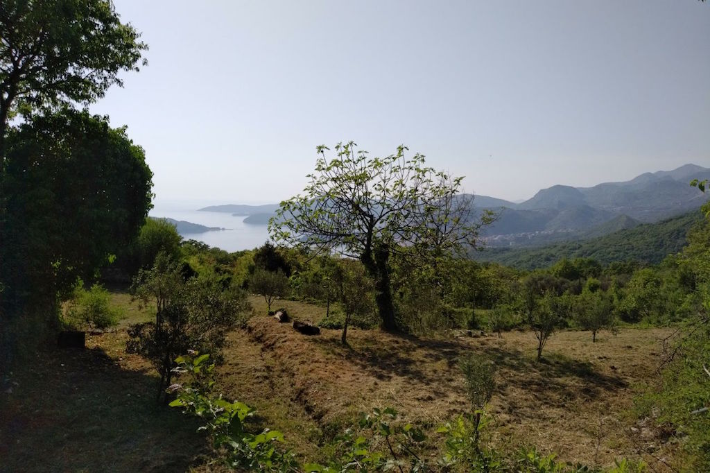 Građevinsko zemljište u Svetom Stefanu, Crna Gora: panoramski pogled na more, planine i maslinjak sa brda.
