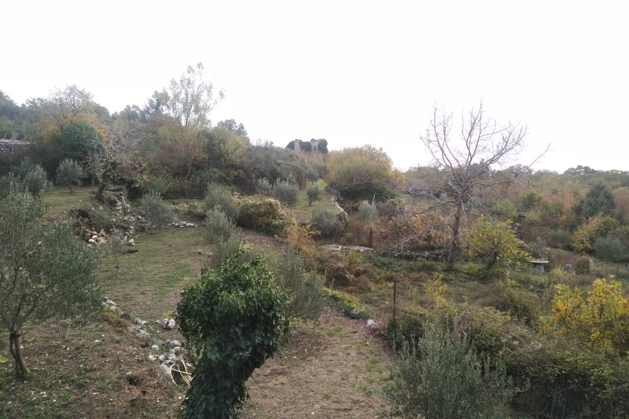 Građevinsko zemljište sa maslinama i panoramskim pogledom na prirodu u Svetom Stefanu, Crna Gora.