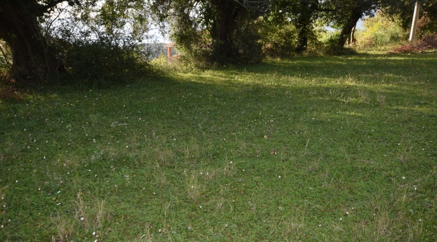Green plot of land with trees in Kavac, Montenegro, view of the area for house construction.