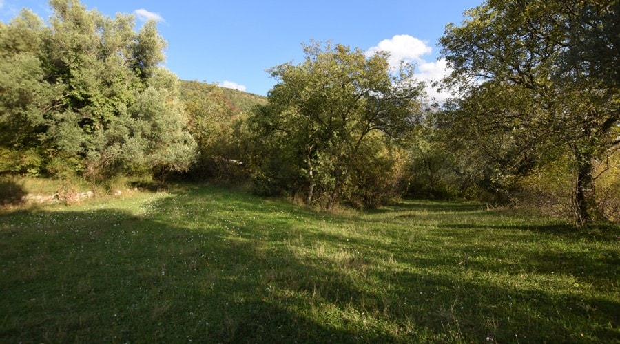 Green plot of land in Kavac, Montenegro: a scenic area with trees and mountain views under a clear sky.