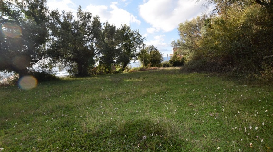 Land plot in Kavac, Montenegro: flat terrain with trees and views of the surroundings for building a house.