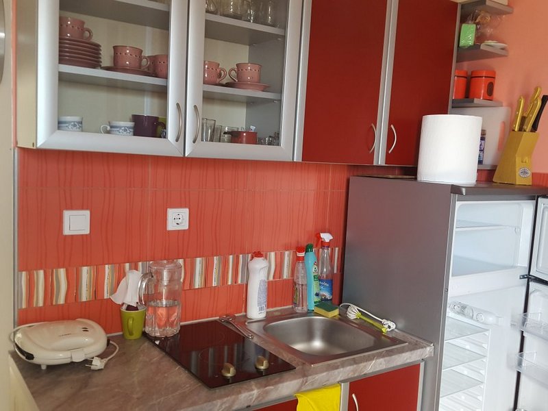 Kırmızı kapaklı, ocaklı ve buzdolaplı kompakt mutfak, Kırımovice, Karadağ’daki satılık evde.