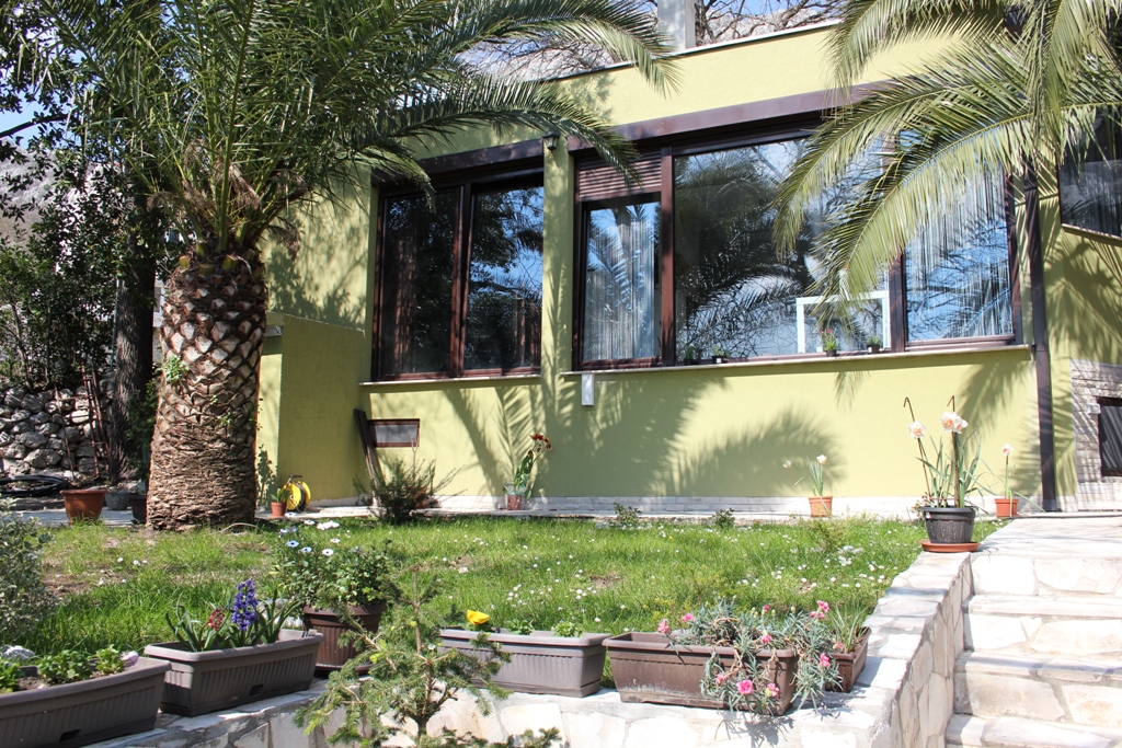 Fassade des Hauses in Orahovac, Montenegro: Panoramafenster, grüne Verkleidung, Palmen und ein gepflegter Garten mit Blumen in Töpfen.