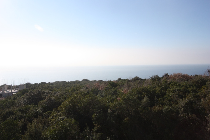 Krymovice, Karadağ’daki arsa üzerinden deniz ve yeşil ormanlık alanın panoramik manzarası.