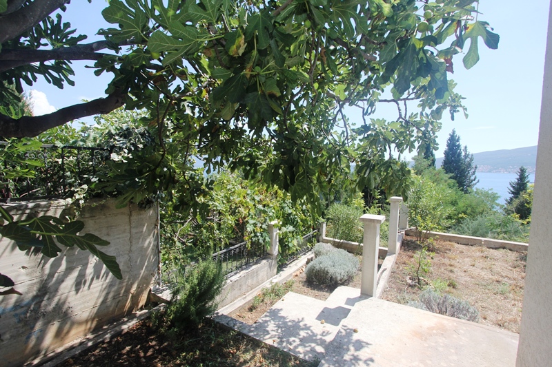 Terrasse eines Hauses in Baošići, Montenegro: Meerblick, Feigenbaum und gepflegtes Grundstück mit Steinstufen.