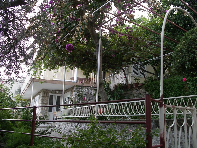 Gemütliches Haus in Petrovac, Montenegro: Steinfassade, Terrasse mit einem von Grün und blühenden Pflanzen überdachten Vordach.