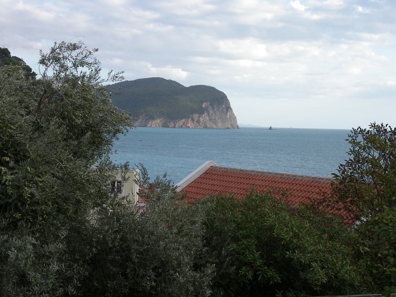 Petrovac'ta Ev №940
