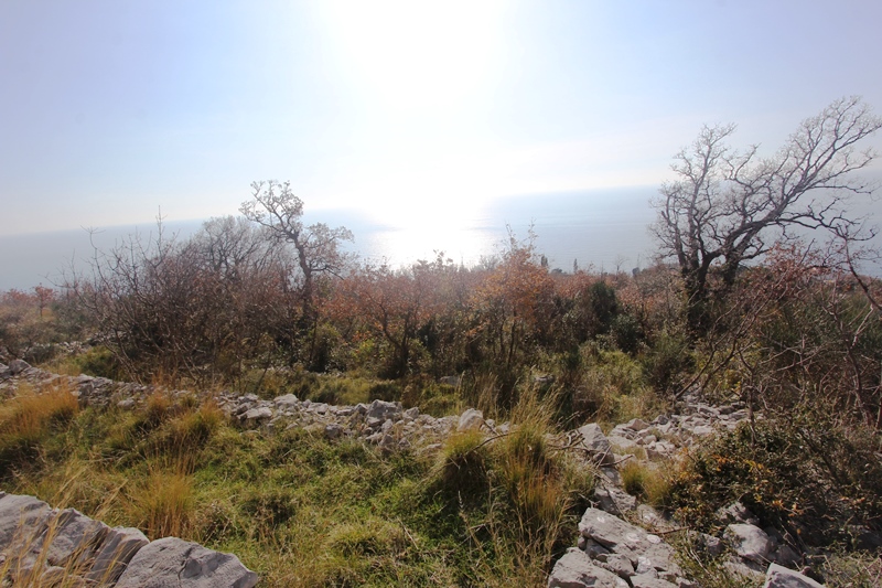 Panoramablick auf das Meer vom Grundstück in Reževići, Montenegro: felsige Landschaft und Bäume an der Küste.