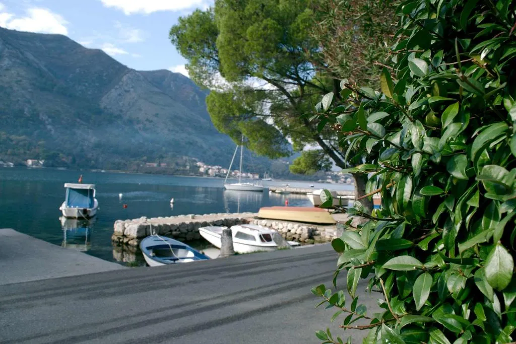 Blick auf das Meer und den Bootsanleger in Dobrota, Montenegro: malerische Landschaft mit Bergen und Grün am Haus Nr. 898.