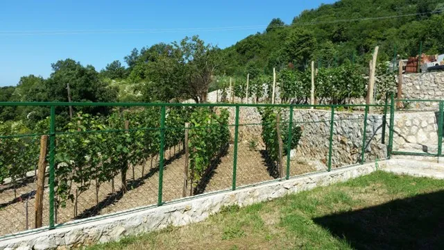 Działka z winnicą i kamiennym murem oporowym przy willi w Šušanj, Czarnogóra, widok na zielone wzgórza i ogród.