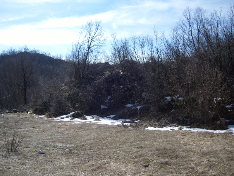 Land plot in Cetinje, Montenegro: mountain landscape with trees and patches of snow on the field for sale.