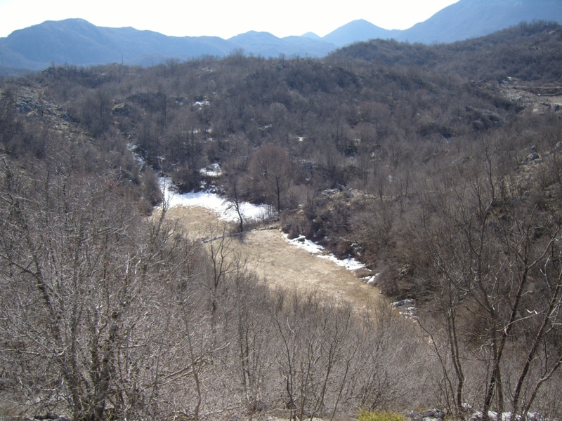 Land plot in the mountains of Cetinje, Montenegro: panoramic view of a wooded area and valley with patches of snow.