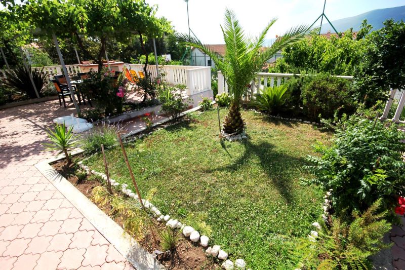 Jardin verdoyant et cosy avec palmier et terrasse près de la maison à Đenovići, Monténégro : espace détente avec mobilier et vignoble.