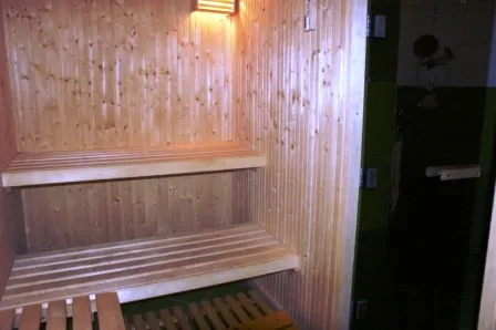Holzsauna mit Bänken im Haus zum Verkauf in Igalo, Montenegro: Innenraum des Ruhebereichs mit Verkleidung aus Naturholz.