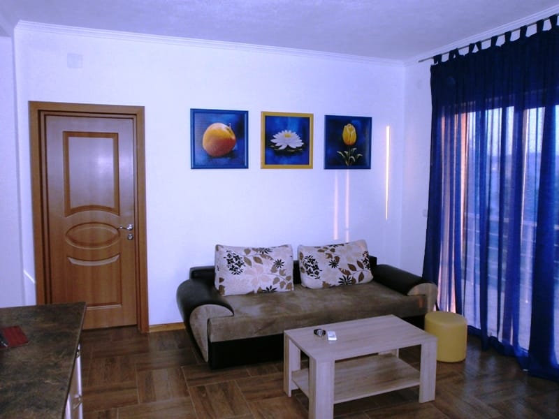 Living room in the Shushan mini-hotel, Montenegro: sofa, coffee table, wall art, and blue curtains in the interior.