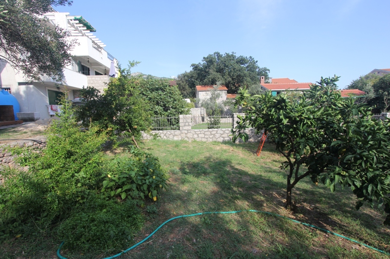 Grünes Grundstück mit Garten und Obstbäumen am Haus in Budva, Montenegro. Blick auf das eingezäunte Grundstück.