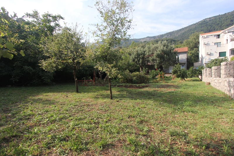 Grundstück in Budva, Montenegro: Blick auf den Garten mit Bäumen, grünem Rasen und Berglandschaft im Hintergrund.