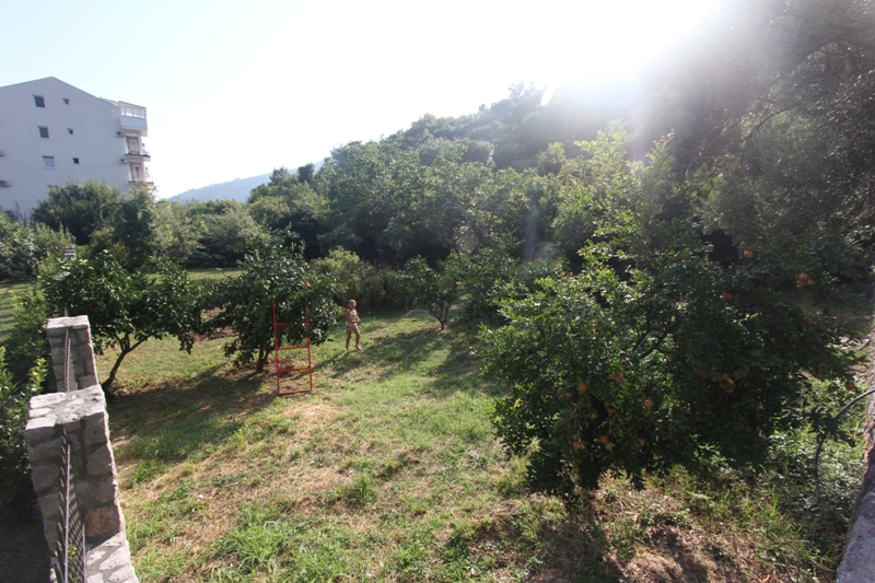 Grünes Grundstück mit Obstbäumen und Garten in Budva, Montenegro, Blick auf das angrenzende Hausgelände.