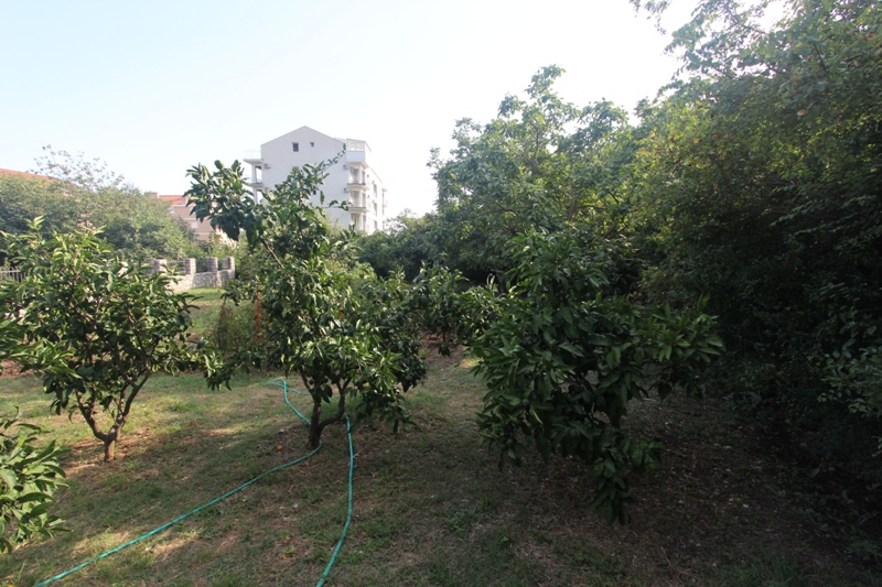 Grünes Grundstück mit Obstbäumen und Blick auf ein Wohnhaus in Budva, Montenegro.