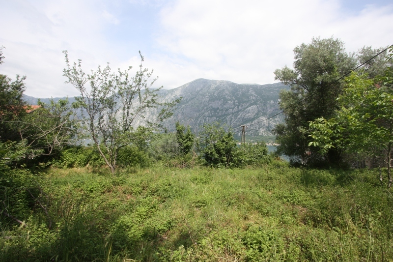 Land plot in Prčanj, Montenegro, with panoramic views of the mountains and the Bay of Kotor, surrounded by greenery.