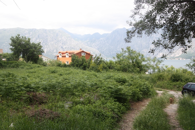 Land plot in Prčanj, Montenegro: panoramic view of the mountains and Kotor Bay with green grounds.