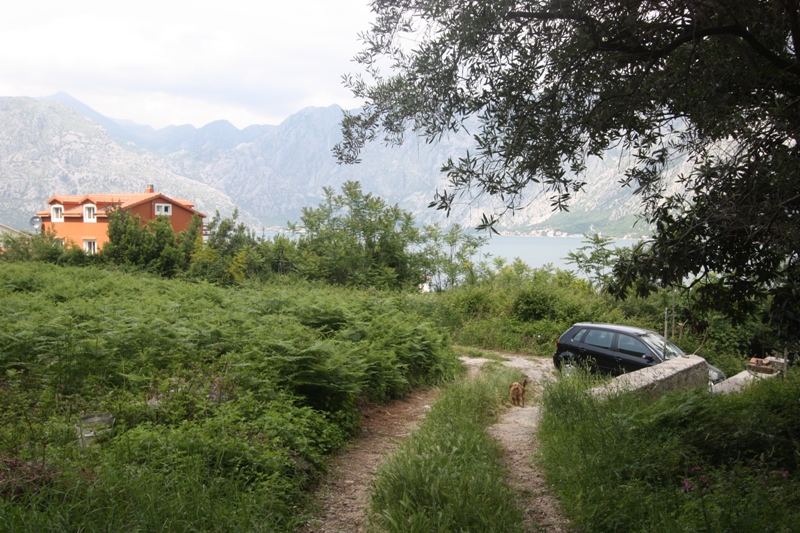 Land plot in Prčanj, Montenegro: mountain and Bay of Kotor views, with a dirt road and a neighboring house.