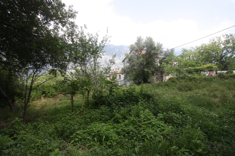 Land plot in Prčanj, Montenegro: view of a green garden, trees, and a stone house against a mountain backdrop.