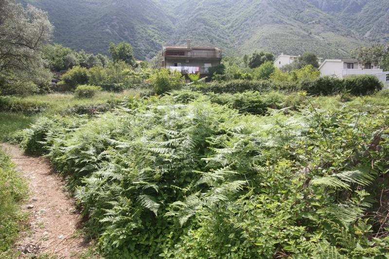 Land plot with lush greenery and mountain views in Prčanj, Montenegro, for building a house or vacation home.