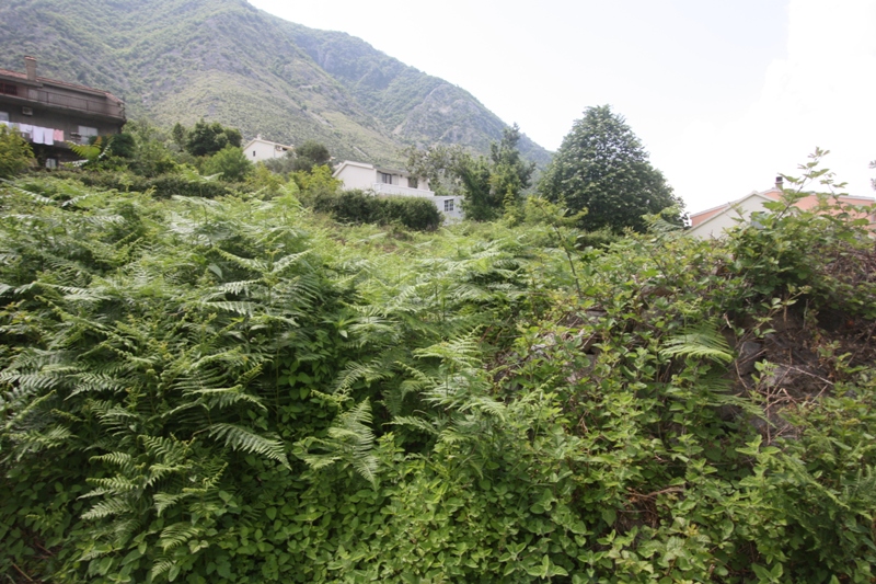 Building plot in Prčanj, Montenegro, with mountain views and surrounding greenery and residential houses.