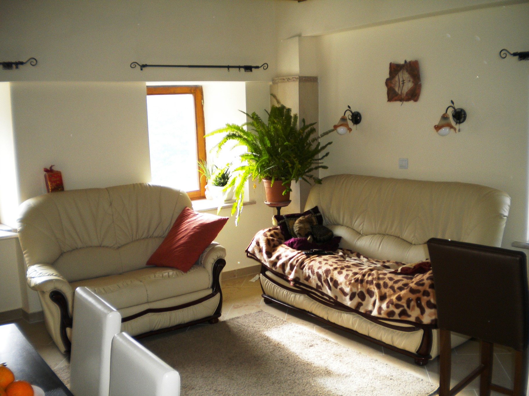 Gemütliches Wohnzimmer mit Ledersofas in einem Haus in Mišići, Bar, Montenegro: Innenraum mit Zimmerpflanzen und sanftem Licht.