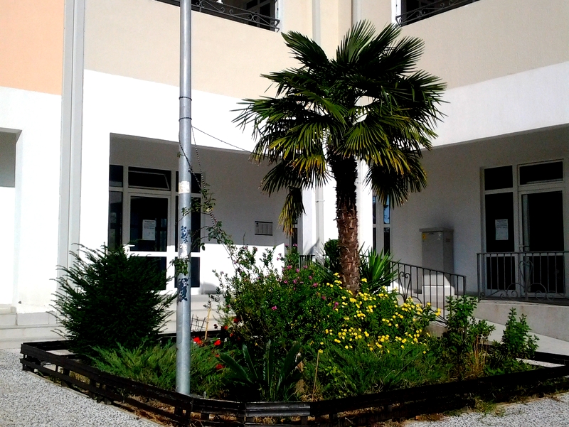 Wohnung in Bar Nr. 738
