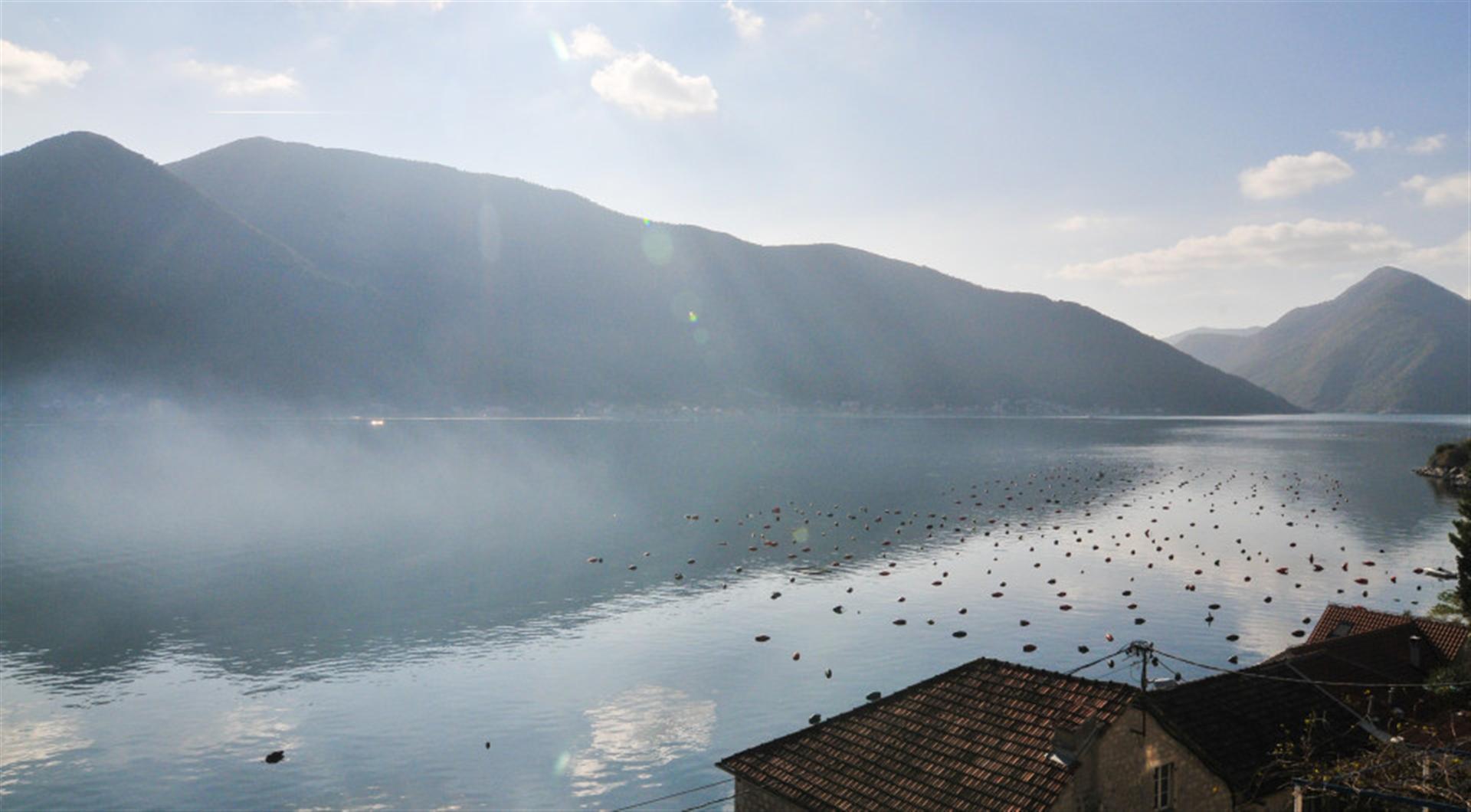 Karadağ, Dražin Vrt’teki villadan Kotor Körfezi ve dağların panoramik manzarası: suda şamandıralı deniz manzarası.