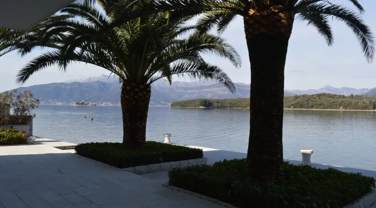 Blick auf das Meer und die Berge von der Terrasse der Villa in Tivat, Montenegro: Palmen, Steinverkleidung und Küstenlinie.