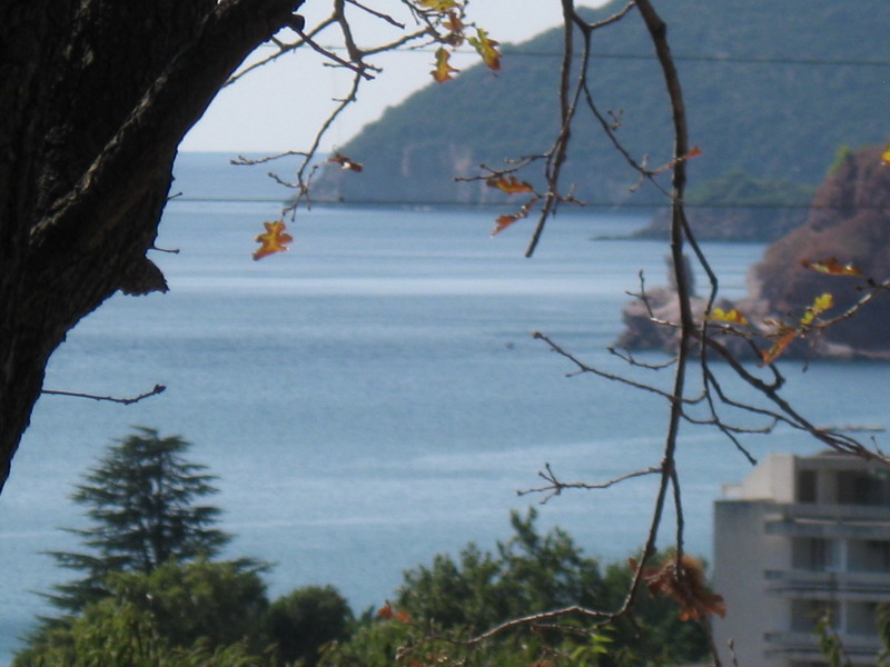 Slikovit pogled na Jadransko more i planine iz kuće u Sutomoru, Crna Gora, uokviren granama drveća.