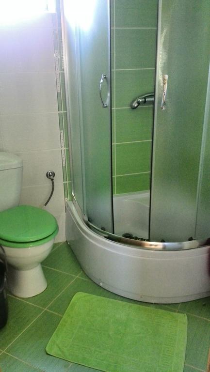 Badezimmer mit Duschkabine und grünen Fliesen in einem Haus zum Verkauf, Krymovica, Montenegro.