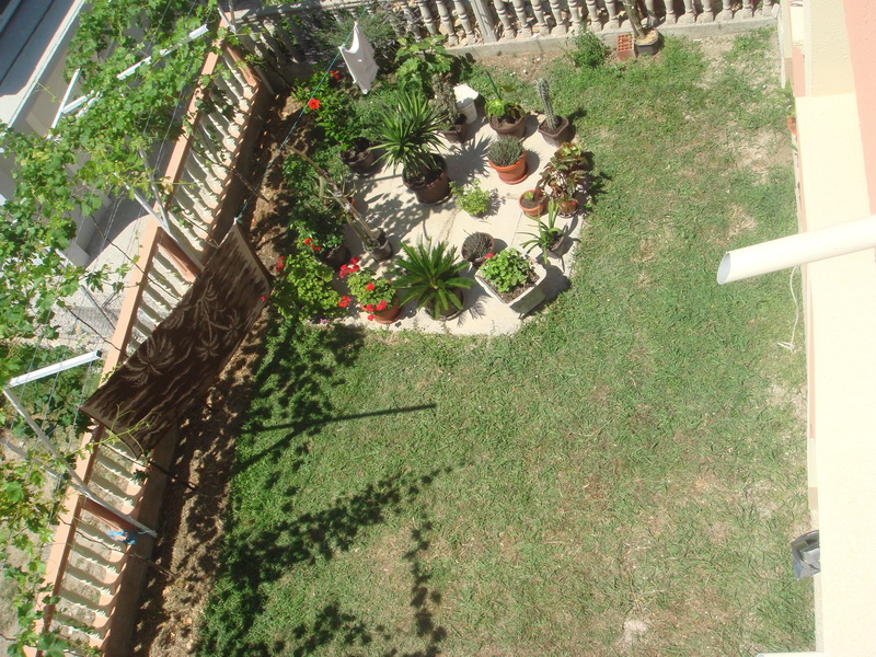 Blick von oben auf einen grünen Garten mit Zimmerpflanzen und einem Weinberg am Haus in Šušanj, Montenegro.
