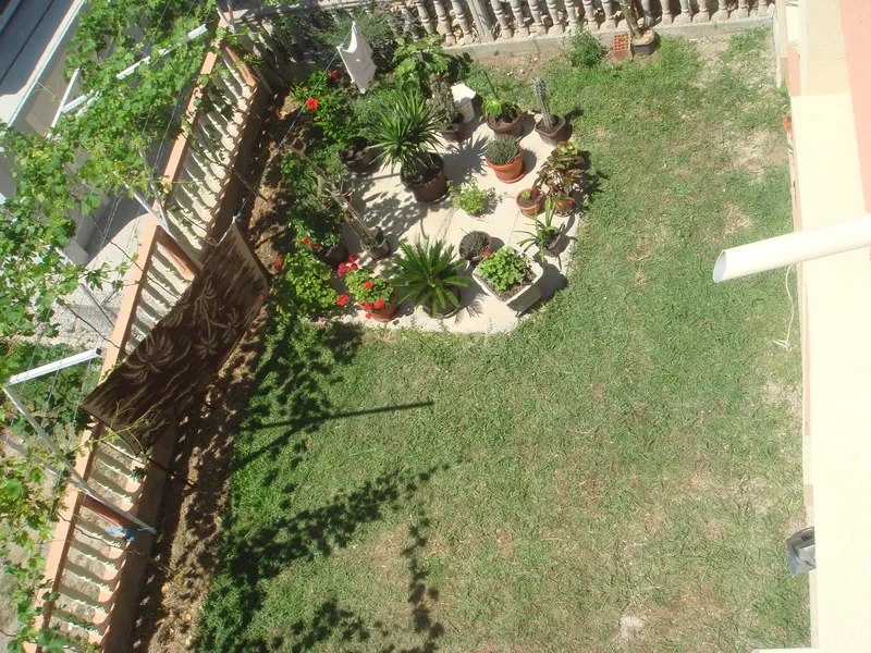 Blick von oben auf einen grünen Garten mit Zimmerpflanzen und einem Weinberg am Haus in Šušanj, Montenegro.