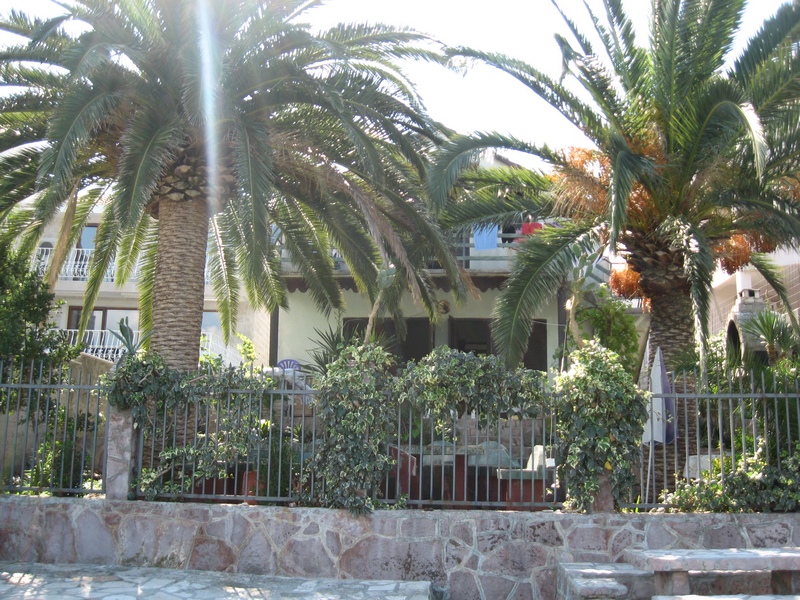 Zweistöckiges Haus in Tivat, Montenegro, mit Terrasse, Steinzäunung und hohen Palmen auf dem Grundstück.