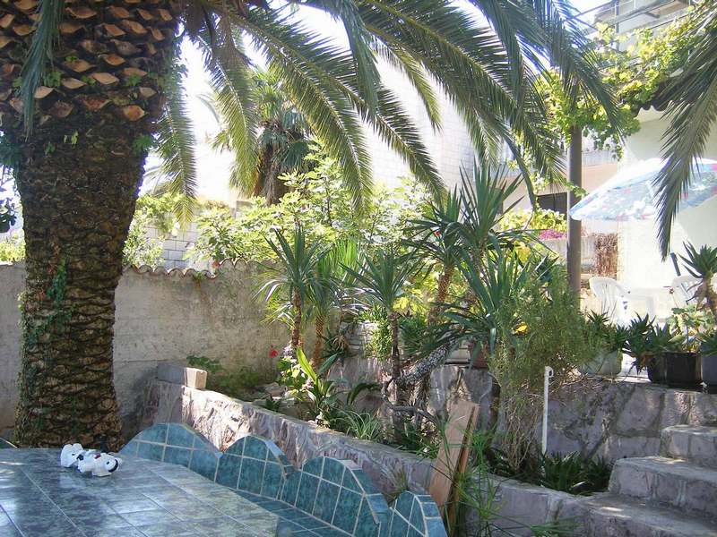 Gemütliche Terrasse mit Steinmöbeln und Palmen in einem Privathaus in Tivat, Montenegro, umgeben von einem grünen Garten.