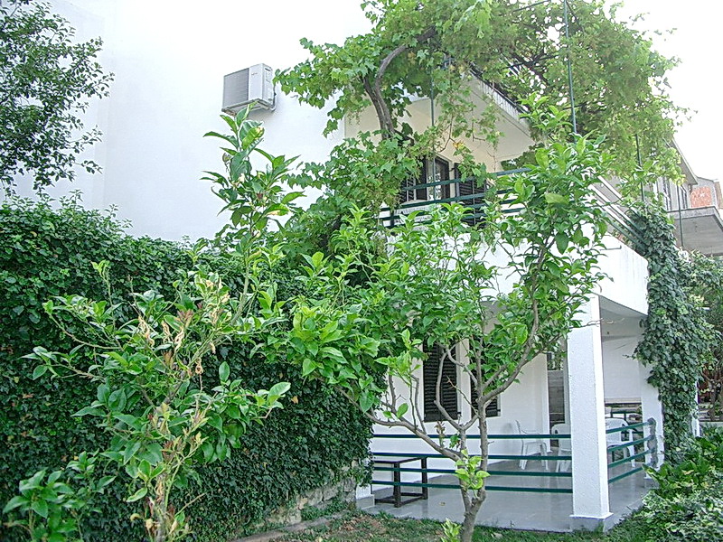 Weiße Villa in Budva, Montenegro: Terrasse mit Gartenmöbeln, von Weinreben umrankt, und grüner Garten mit Zitronenbaum.