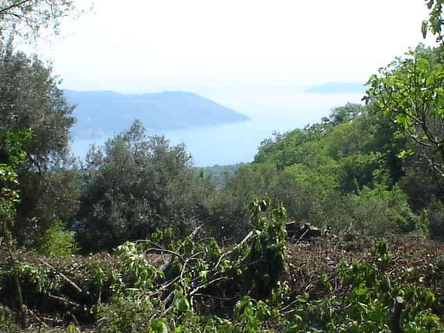 Panoramiczny widok na morze i góry z działki w Herceg Novi, Czarnogóra, wśród zieleni i drzew oliwnych.