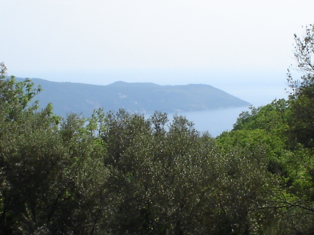Panoramiczny widok na morze i góry z działki w Herceg Novi, Czarnogóra, w otoczeniu gęstej zielonej roślinności.
