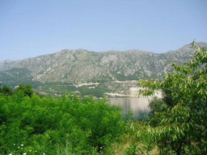 Slikovit pogled na mirno jezero okruženo bujnim zelenim drvećem i surovim planinama pod vedrim plavim nebom
