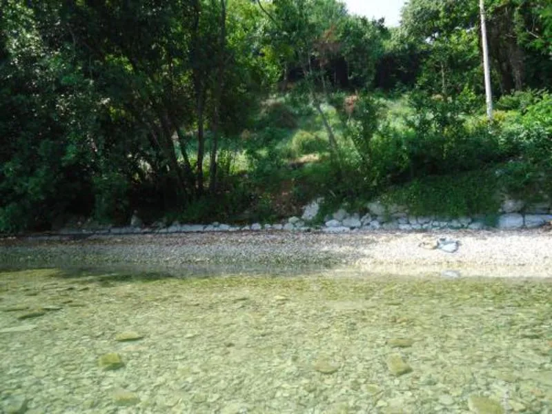 Čista plitka vodena površina sa šljunkovitom plažom i gustim zelenim drvećem duž obale.