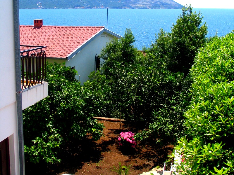 Pogled sa balkona kuće u Herceg Novom, Crna Gora: zelena bašta, cvetni žbunovi i panoramski pogled na Jadransko more.